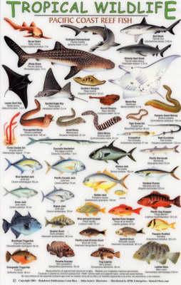 Cover of Pacific Coast Reef Fish