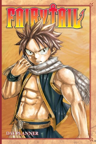 Cover of Fairy Tail Day Planner 2017 - 2018