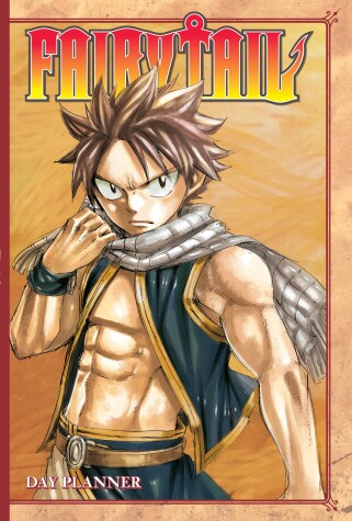 Book cover for Fairy Tail Day Planner 2017 - 2018