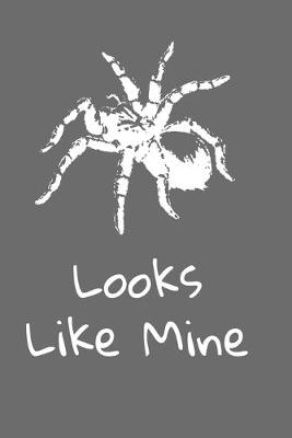 Book cover for Looks like mine grey tarantula notebook