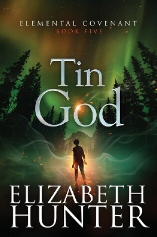 Cover of Tin God