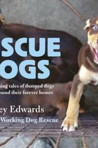 Cover of Rescue Dogs: Heartwarming Tales of Dumped Dogs That Have Found Their Forever Homes
