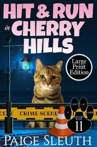 Cover of Hit and Run in Cherry Hills