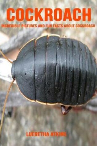 Cover of Cockroach