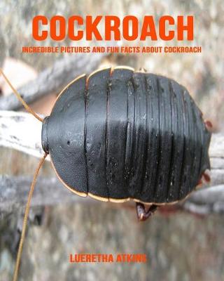 Cover of Cockroach