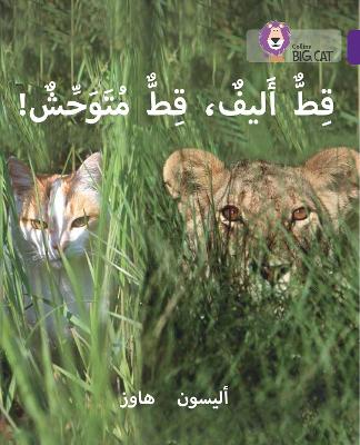 Book cover for Tame Cat, Wild Cat