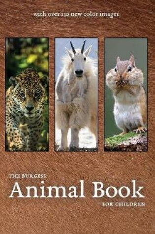 Cover of The Burgess Animal Book with new color images