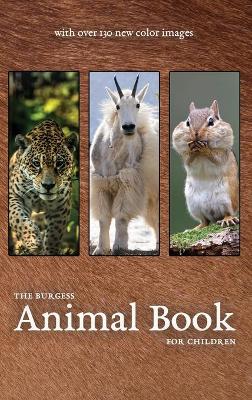 Book cover for The Burgess Animal Book with new color images