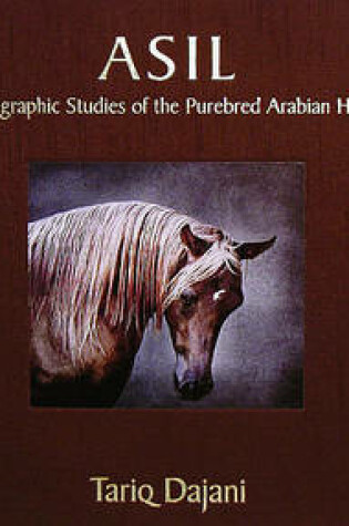 Cover of ASIL: Photographic Studies of the Purebred Arabian Horse