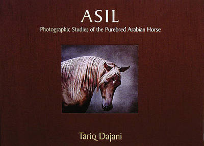 Cover of ASIL: Photographic Studies of the Purebred Arabian Horse