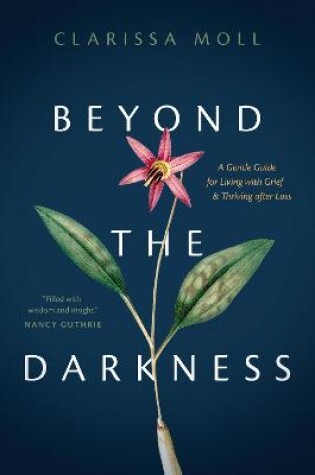 Cover of Beyond the Darkness