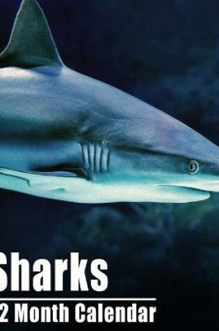 Cover of Calendrier 2021 Sharks