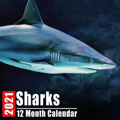 Book cover for Calendrier 2021 Sharks