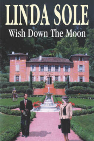 Cover of Wish Down the Moon