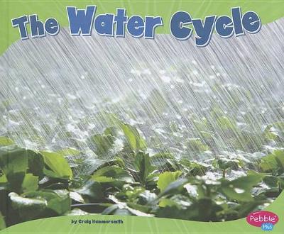 Cover of The Water Cycle