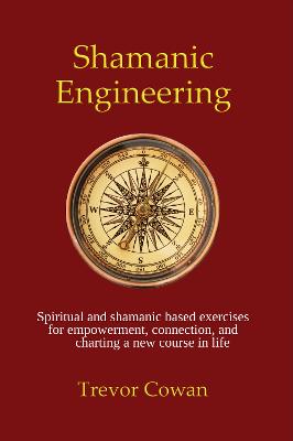 Cover of Shamanic Engineering