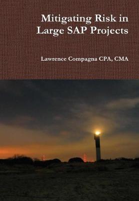 Book cover for Mitigating Risk in Large SAP Projects