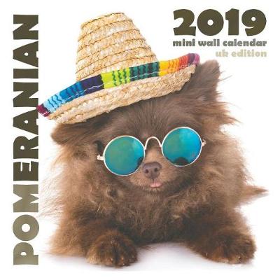 Book cover for Pomeranian 2019 Mini Wall Calendar (UK Edition)