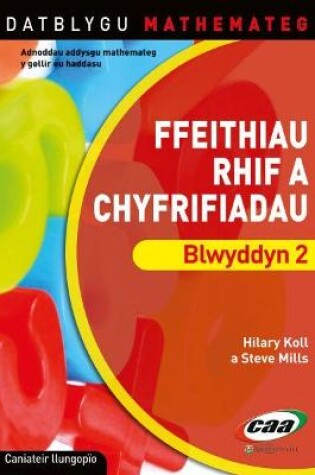Cover of Datblygu Mathemateg: Ffeithiau Rhif a Chyfrifiadau Blwyddyn 2