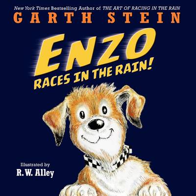 Book cover for Enzo Races in the Rain!