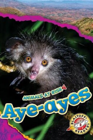 Cover of Aye-Ayes