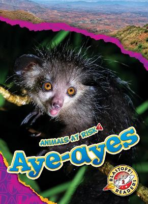 Cover of Aye-Ayes