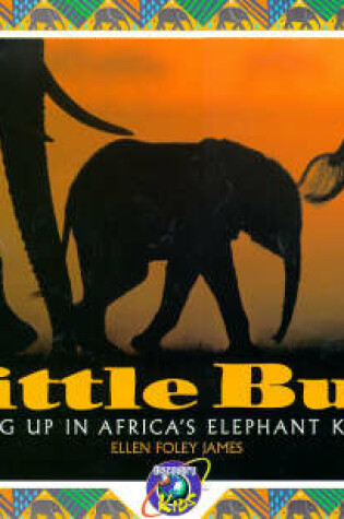 Cover of Little Bull