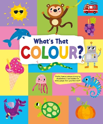 Book cover for What's That Colour