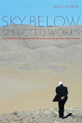 Book cover for Sky Below