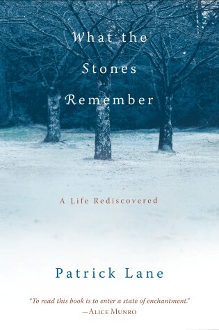Cover of What the Stones Remember