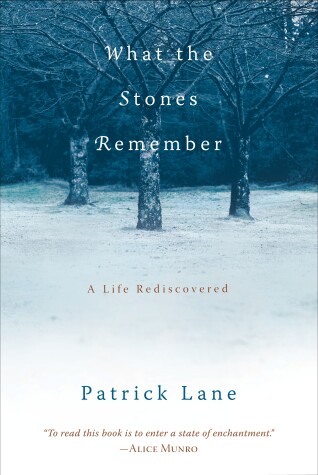 Book cover for What the Stones Remember