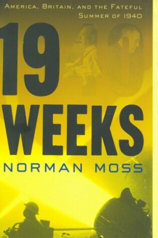 Cover of Nineteen Weeks