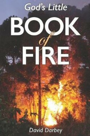 Cover of God's Little Book of Fire