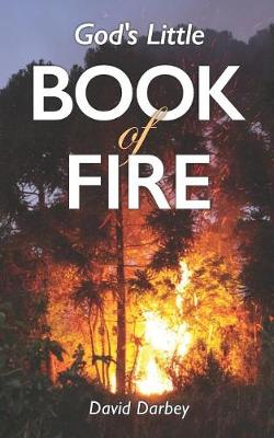 Cover of God's Little Book of Fire