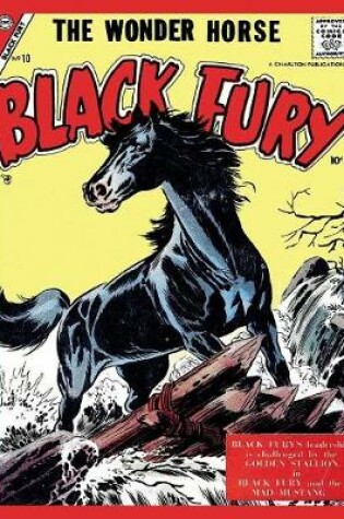 Cover of Black Fury # 10