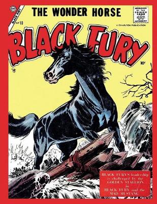 Book cover for Black Fury # 10