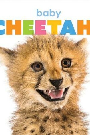 Cover of Baby Cheetahs