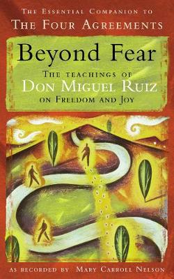 Book cover for Beyond Fear