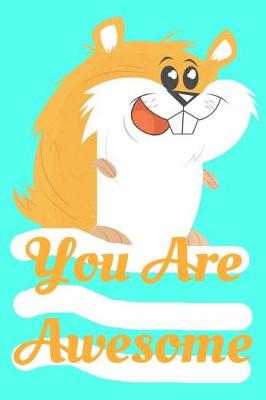 Book cover for You Are Awesome