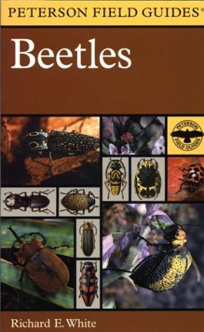 Book cover for Field Guide to the Beetles