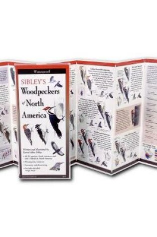 Cover of Sibley's Woodpeckers of North America