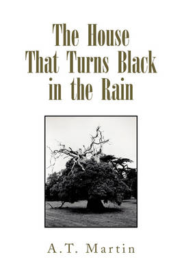 Book cover for The House That Turns Black in the Rain