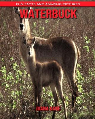 Book cover for Waterbuck