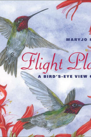 Cover of Flight Plans