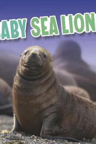 Cover of Baby Sea Lions