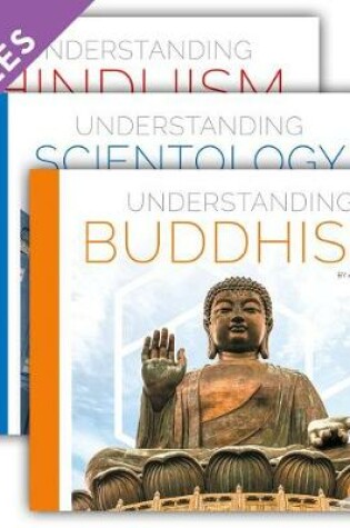 Cover of Understanding World Religions and Beliefs (Set)