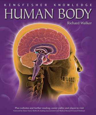 Book cover for Kingfisher Knowledge: Human Body