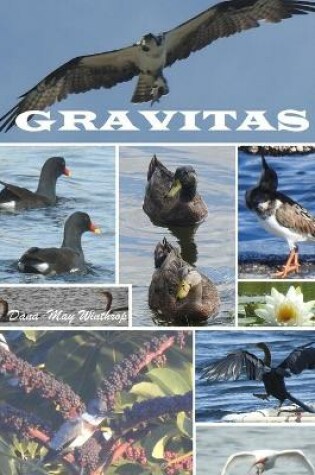 Cover of Gravitas