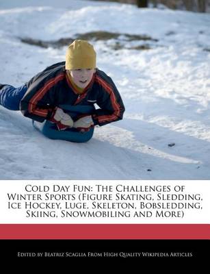 Book cover for Cold Day Fun