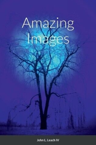 Cover of Amazing Images